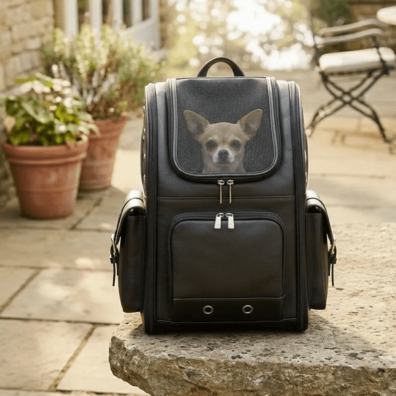 Pet Backpack Carrier | Genuine Leather A high-quality black leather Pet Backpack Carrier with a small Chihuahua looking out through the secure mesh window. The carrier features silver hardware and is displayed in a bright, sunlit outdoor patio setting.