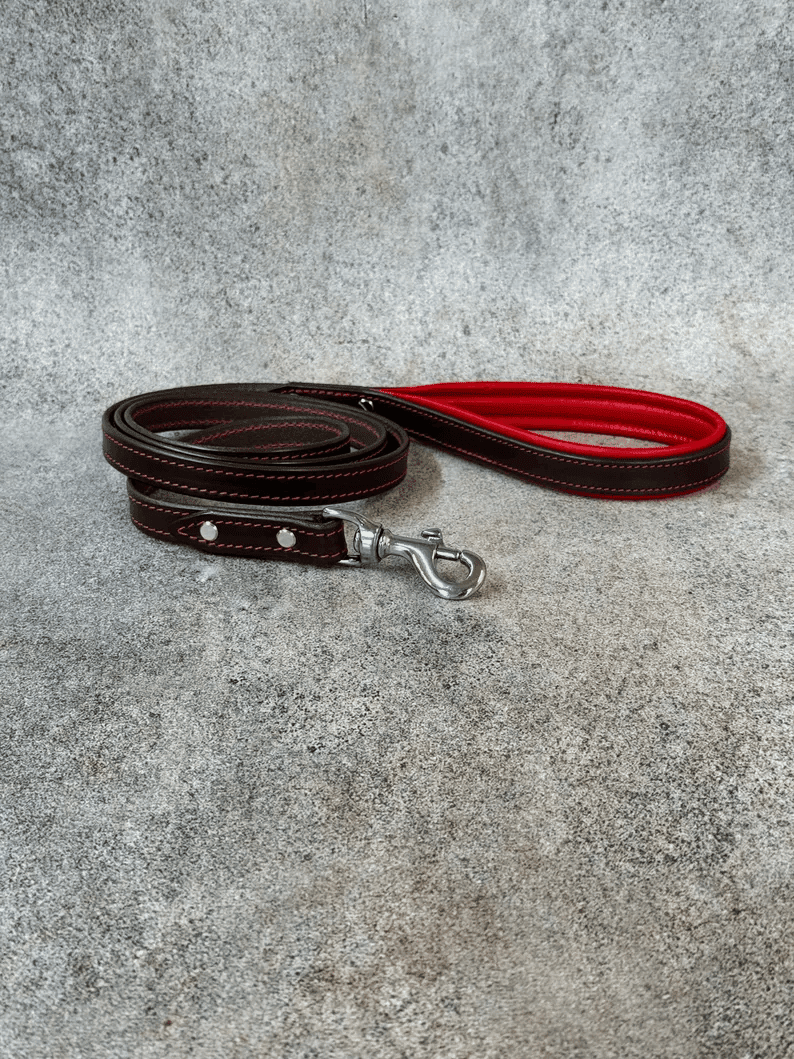 A close-up of a matching dark brown leather dog leash coiled on a grey surface. The leash features a bright red padded handle, red decorative stitching, and a heavy-duty silver lobster claw clasp.