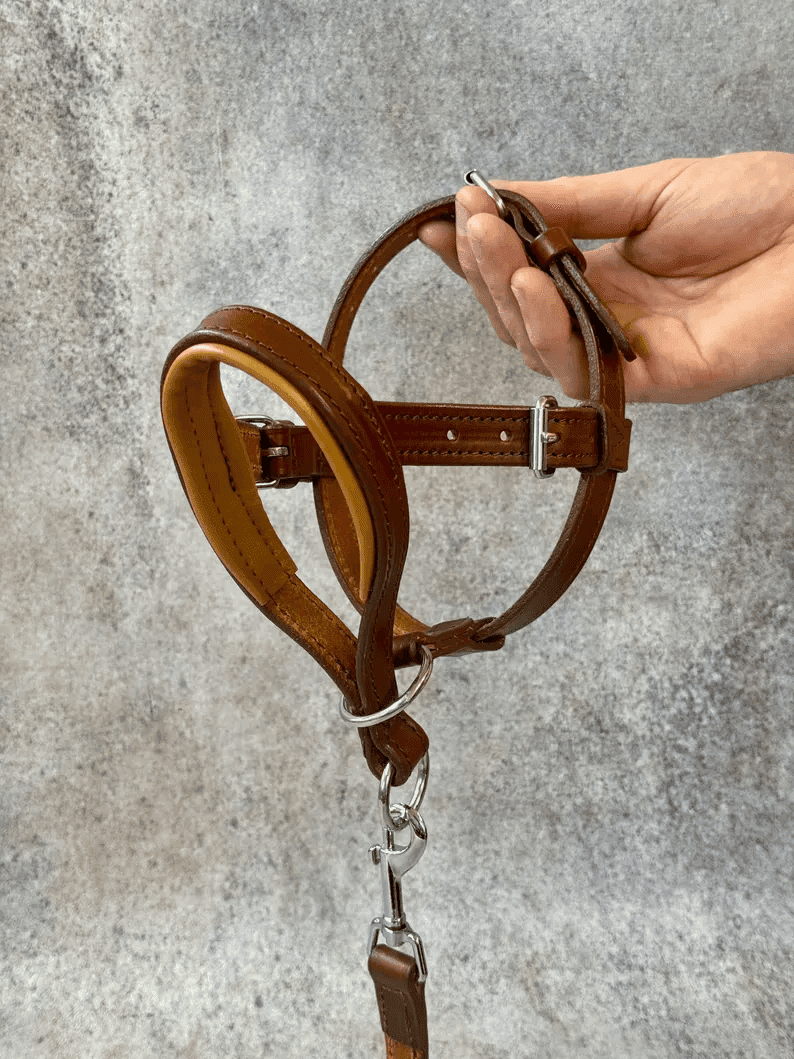A person holding the adjustable leather Dog Head Collar to show the inner padding and the high-quality stitching. The silver metal hardware and buckle adjustments are clearly visible.