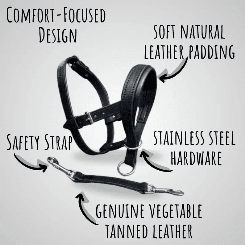 A product diagram of the dog headcollar against a light grey background. Black arrows point to key features: "Comfort-Focused Design," "Soft Natural Leather Padding," "Stainless Steel Hardware," "Genuine Vegetable Tanned Leather," and "Safety Strap."
