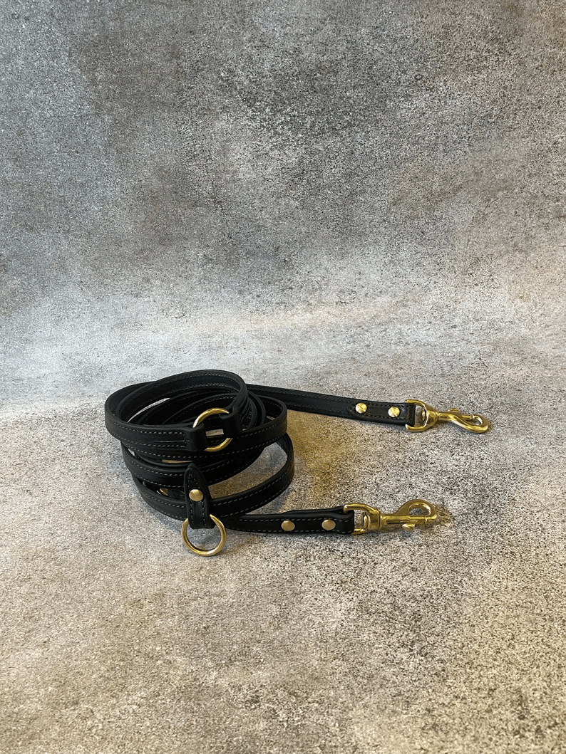 The dark brown leather multi-purpose leash is coiled on a textured grey surface. Both brass snap hooks and the various integrated brass O-rings are visible, showcasing the full length and hardware of the product.