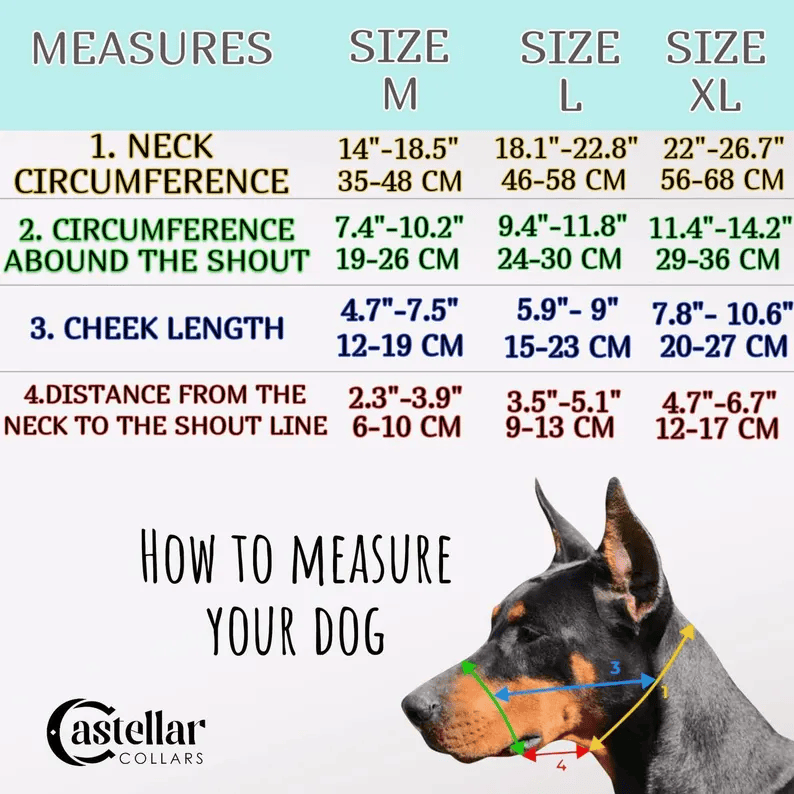 An infographic titled "How to Measure Your Dog" featuring a Doberman Pinscher profile. A measurement chart provides dimensions for sizes M, L, and XL across four categories: neck circumference, snout circumference, cheek length, and distance from neck to snout. 