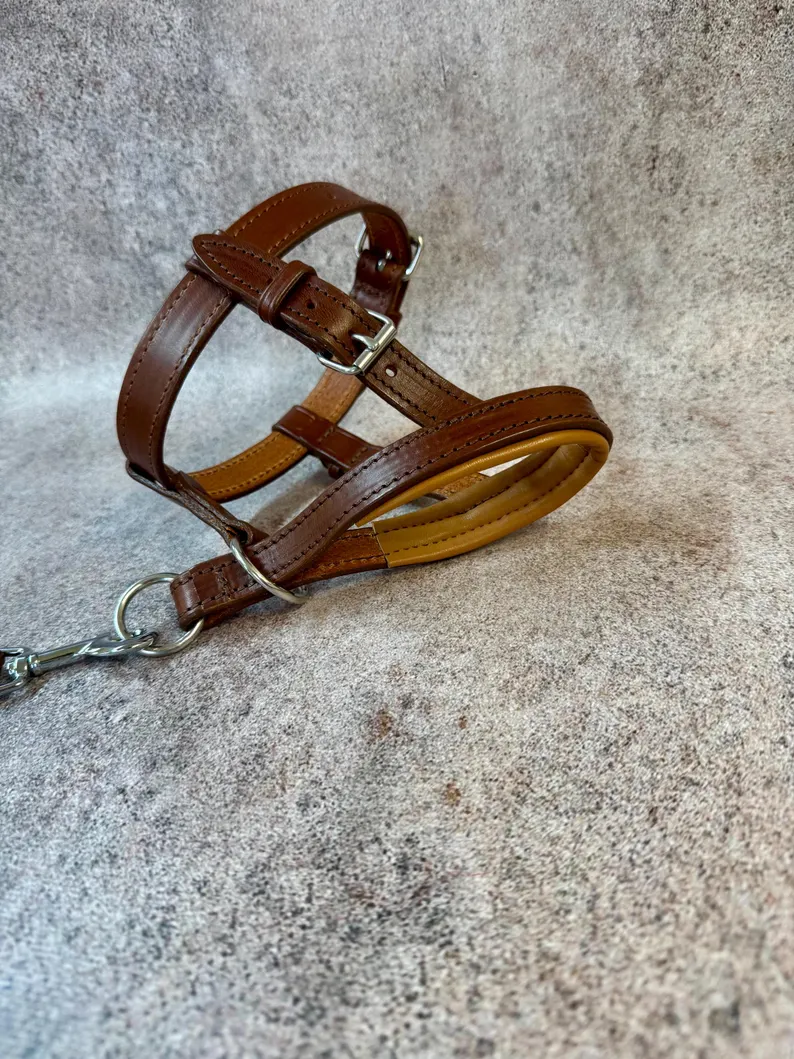 Dog Head Collar | Adjustable Leather Training Collar A studio shot of the brown leather Dog Head Collar laying on a textured gray background. The image highlights the soft tan padding on the nose loop and the heavy-duty metal O-ring for lead attachment.