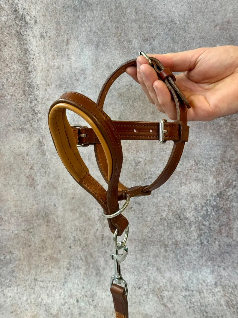 Dog Head Collar | Adjustable Leather Training Collar A person holding the adjustable leather Dog Head Collar to show the inner padding and the high-quality stitching. The silver metal hardware and buckle adjustments are clearly visible.