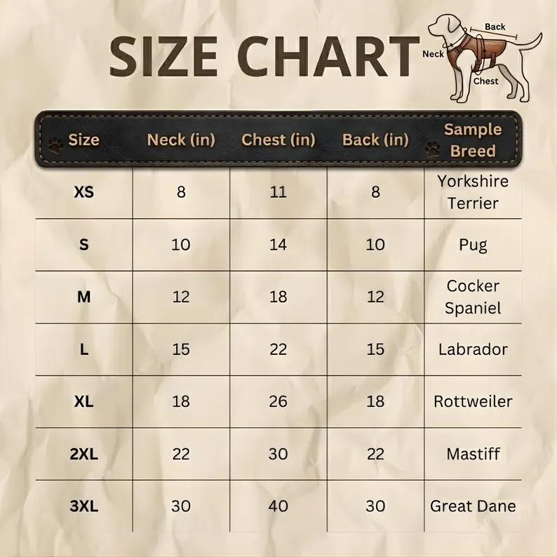 Leather Dog Jacket | Waterproof Canine Jacket A comprehensive size chart table for pet apparel, ranging from XS to 3XL, including measurements for neck, chest, and back in inches, with sample breeds for each size.